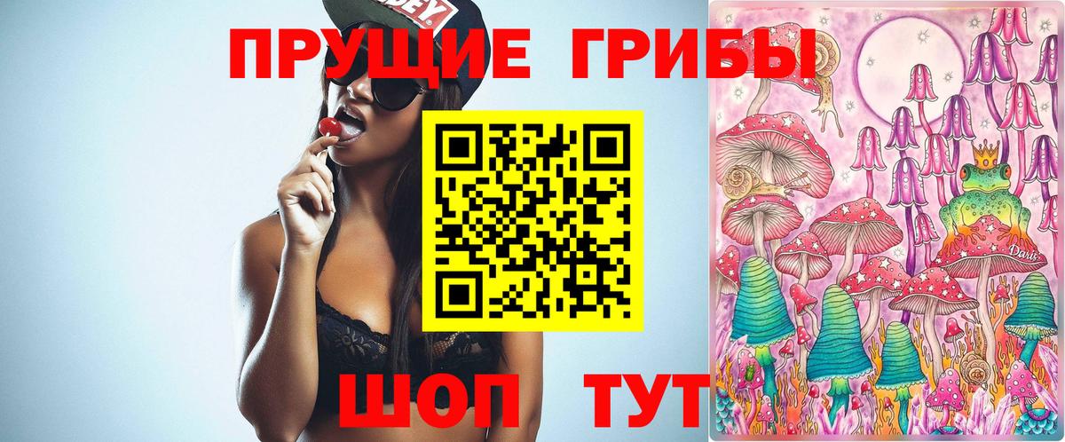Галлюциногенные грибы Psilocybine cubensis Краснокаменск